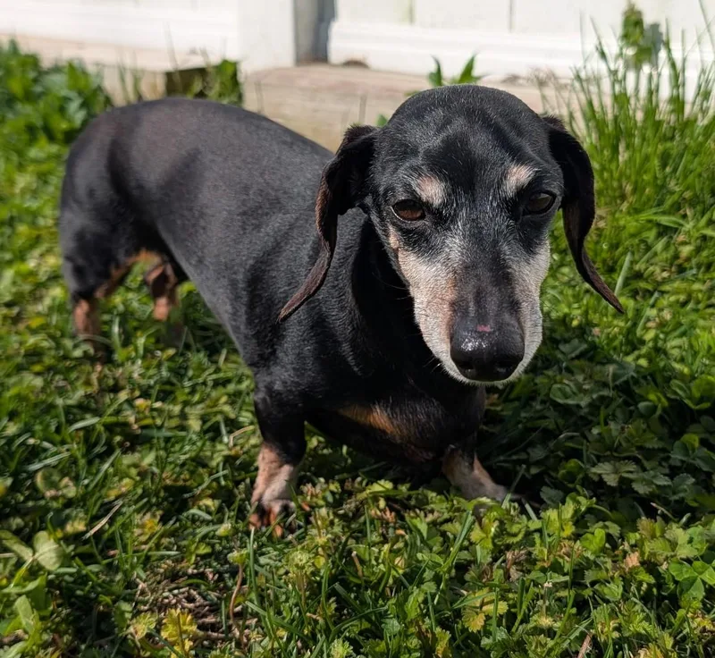 Ellie In Tn thumbnail 2