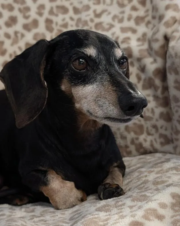 Ellie In Tn thumbnail 3