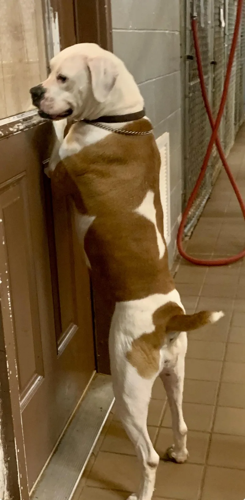 Henrietta & Daisy thumbnail 3