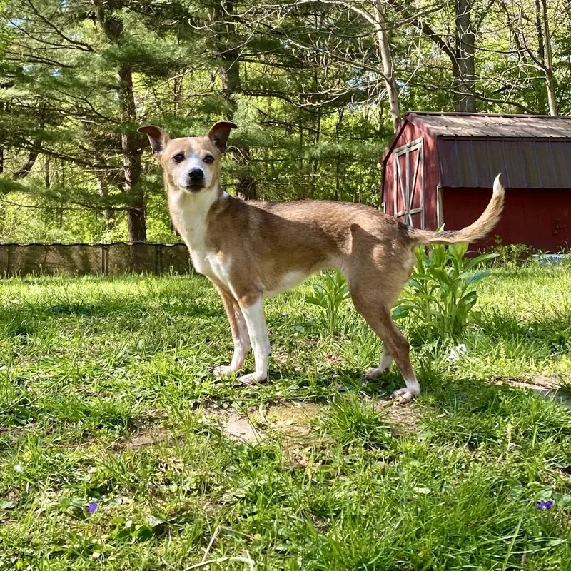 Margarita thumbnail 3