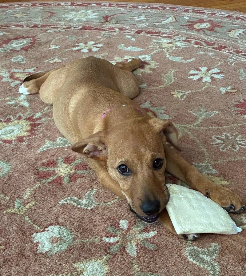Lucy