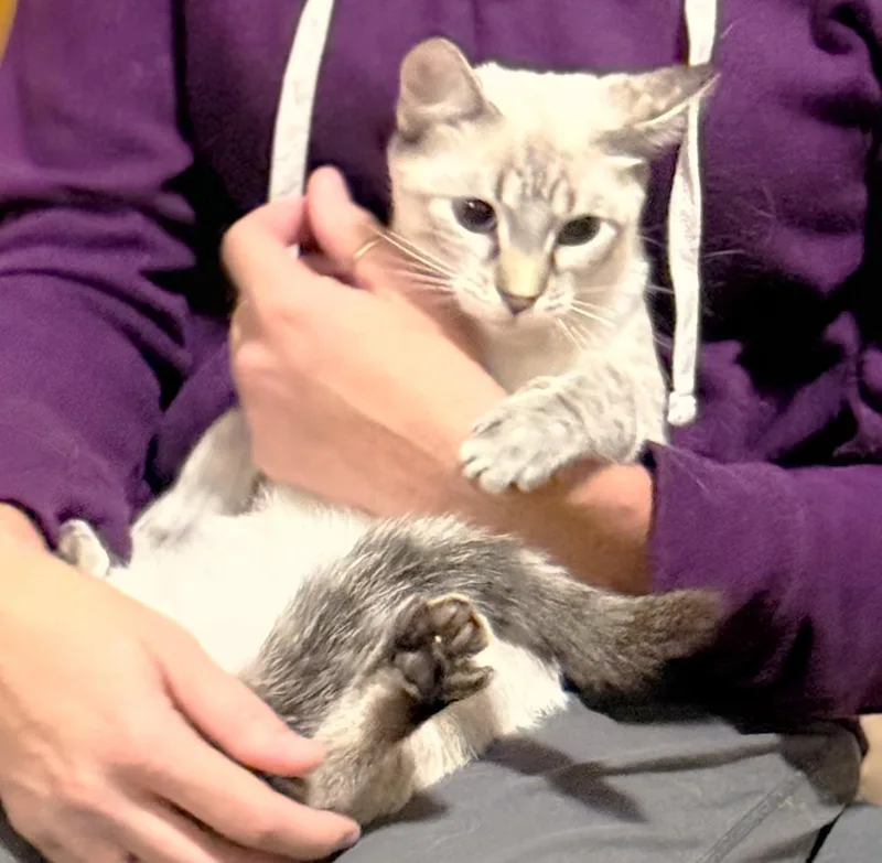 Rosie thumbnail 4