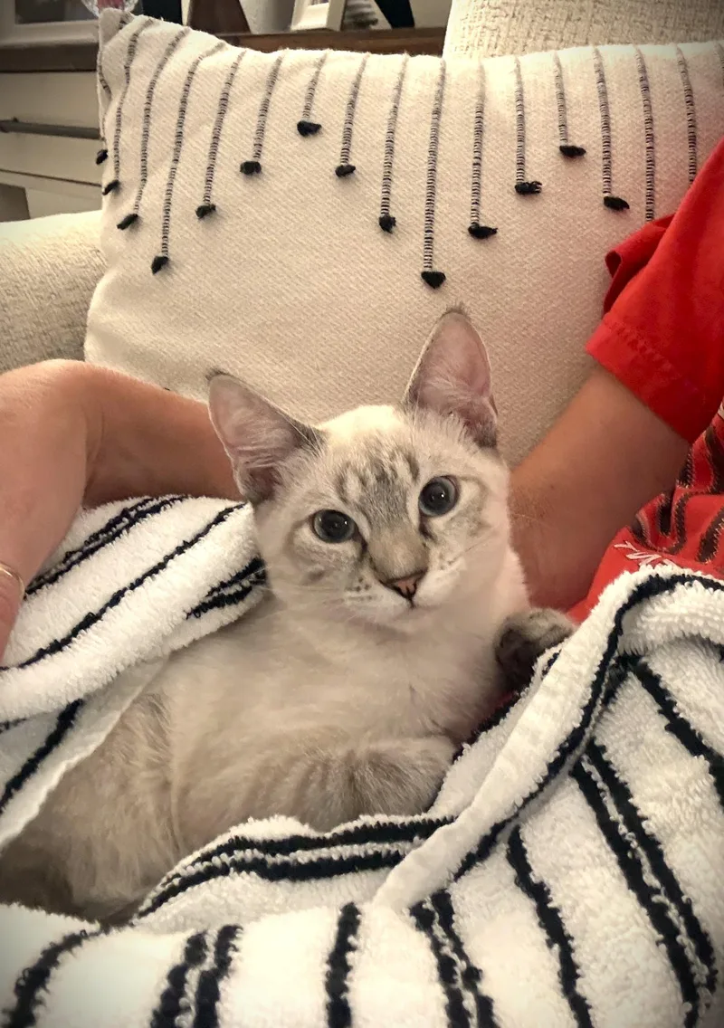 Rosie thumbnail 5