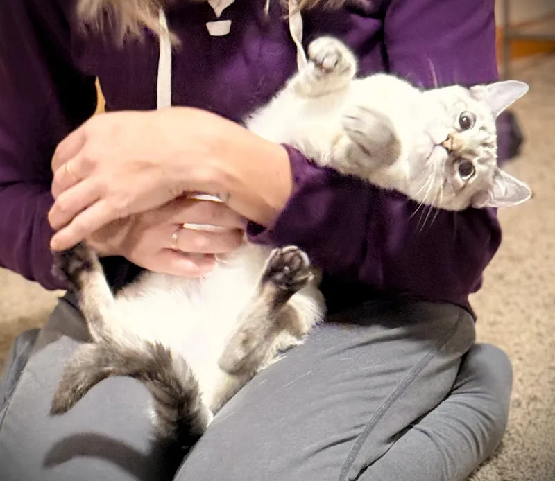 Rosie thumbnail 6