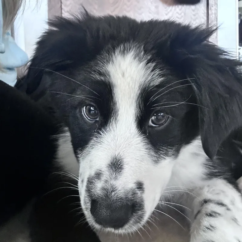 Minnie thumbnail 2