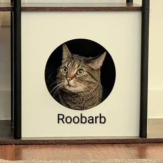 Roobarb  Big Handsome thumbnail 4