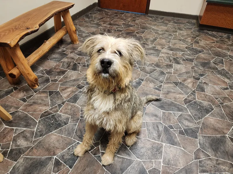 Peppermint Butler thumbnail 3