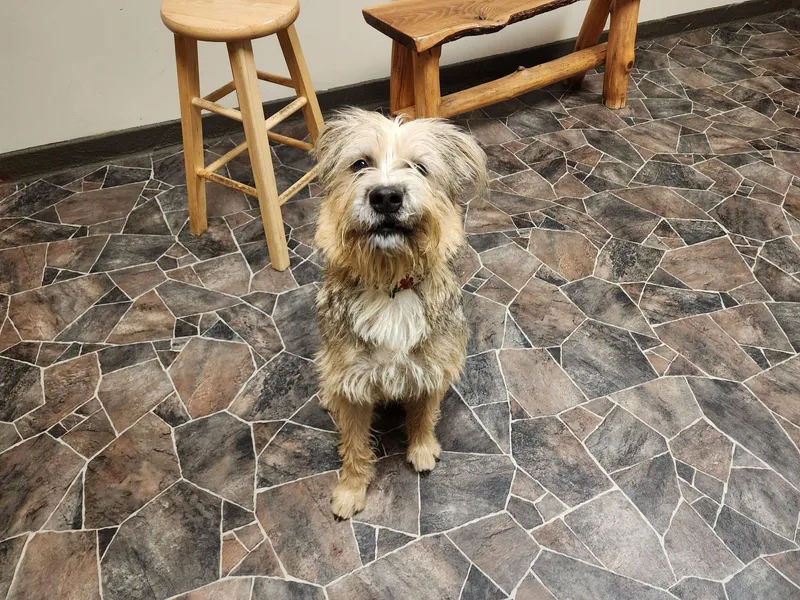 Peppermint Butler thumbnail 5