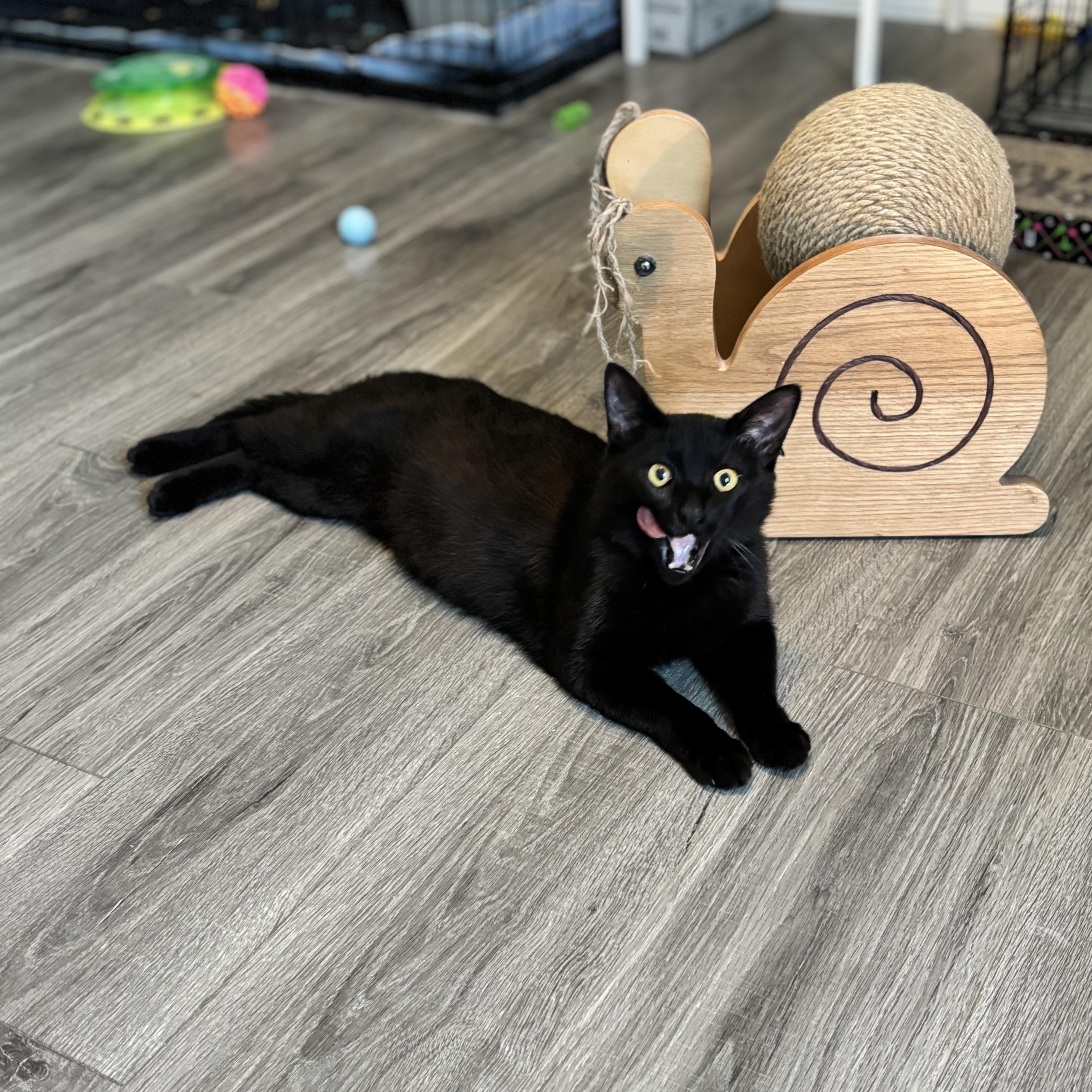 Otis The Playtime Pro thumbnail 2