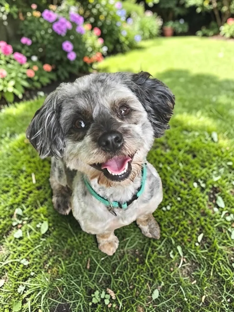 Franklin