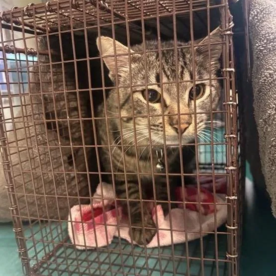 Name Unknown thumbnail 2