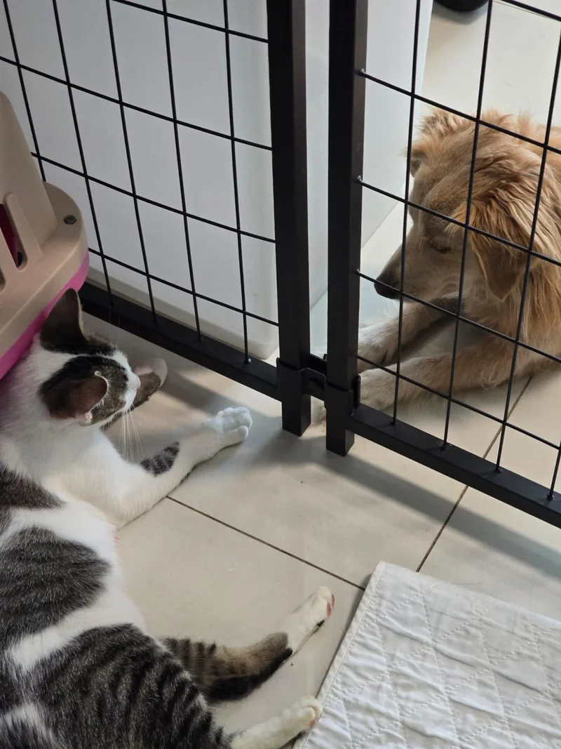 Melody  Petite & thumbnail 4