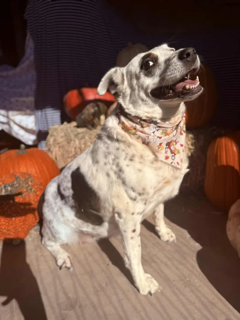 Jude Aka Juju thumbnail 2