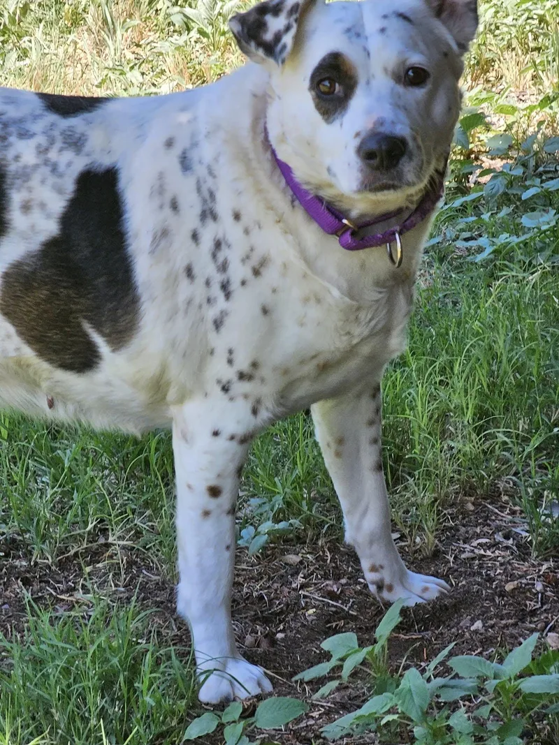 Jude Aka Juju thumbnail 3