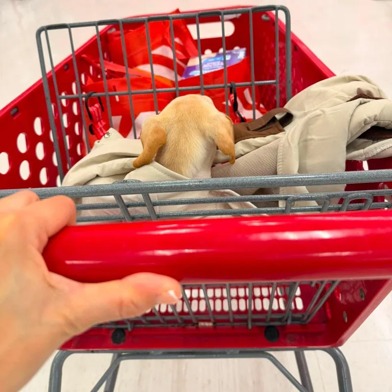 Blondie thumbnail 3