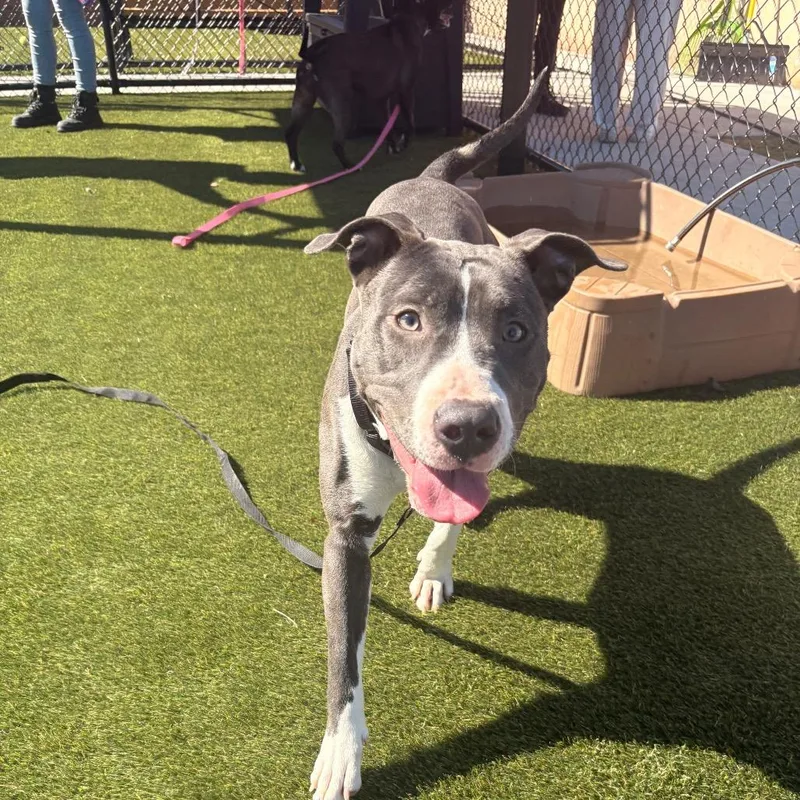 Bubbaley thumbnail 2