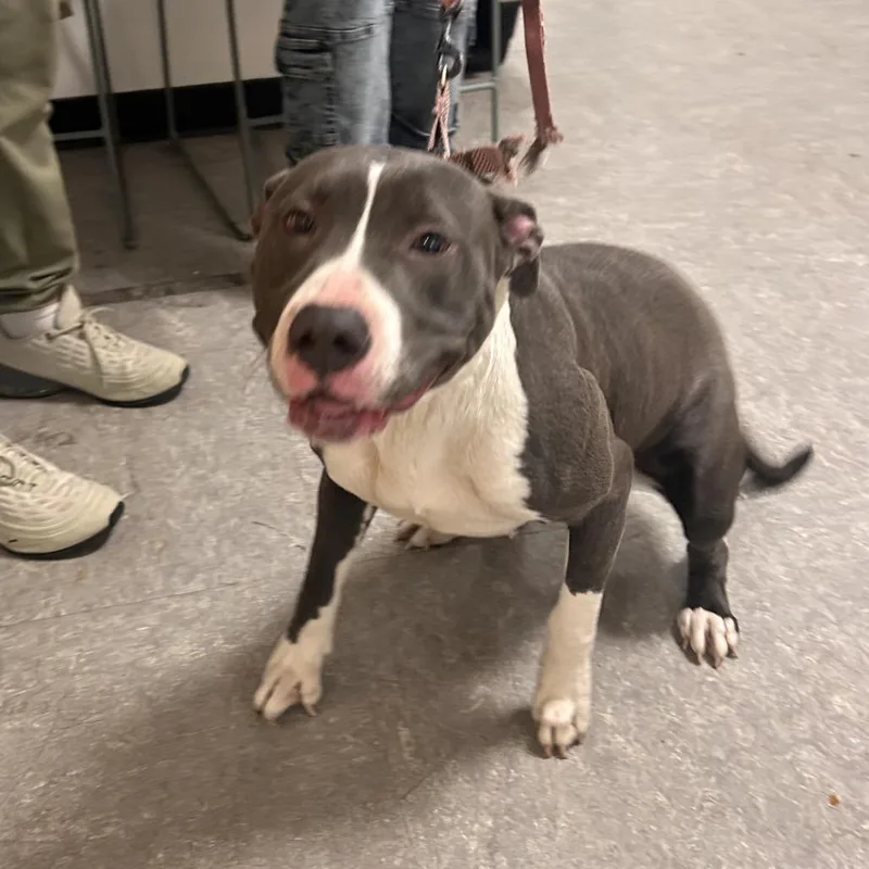 Bubbaley thumbnail 3