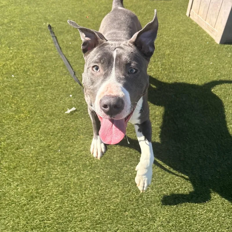 Bubbaley thumbnail 4