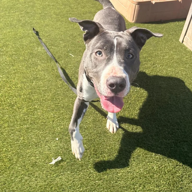 Bubbaley thumbnail 5