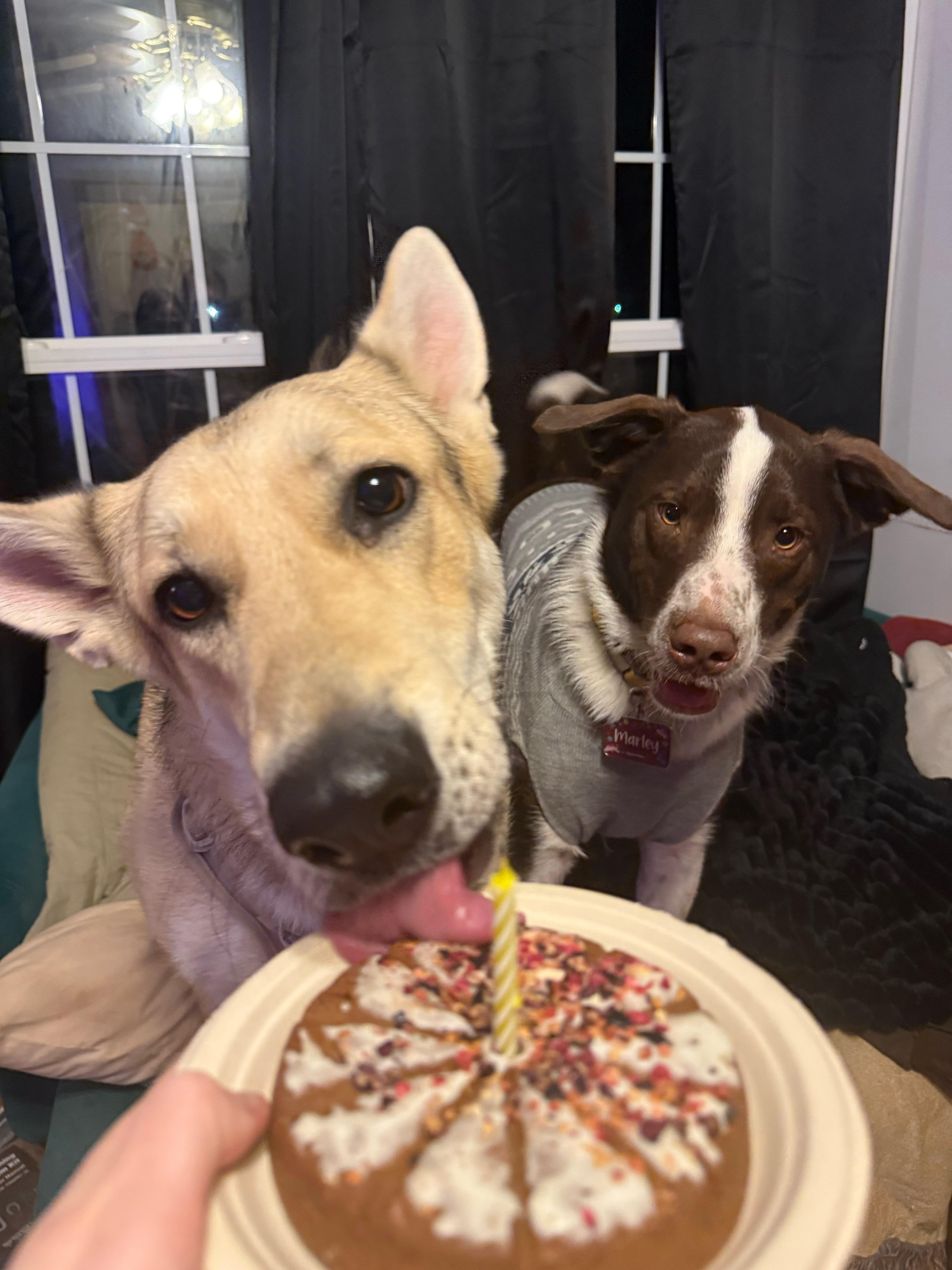 Cosmo Courage thumbnail 2