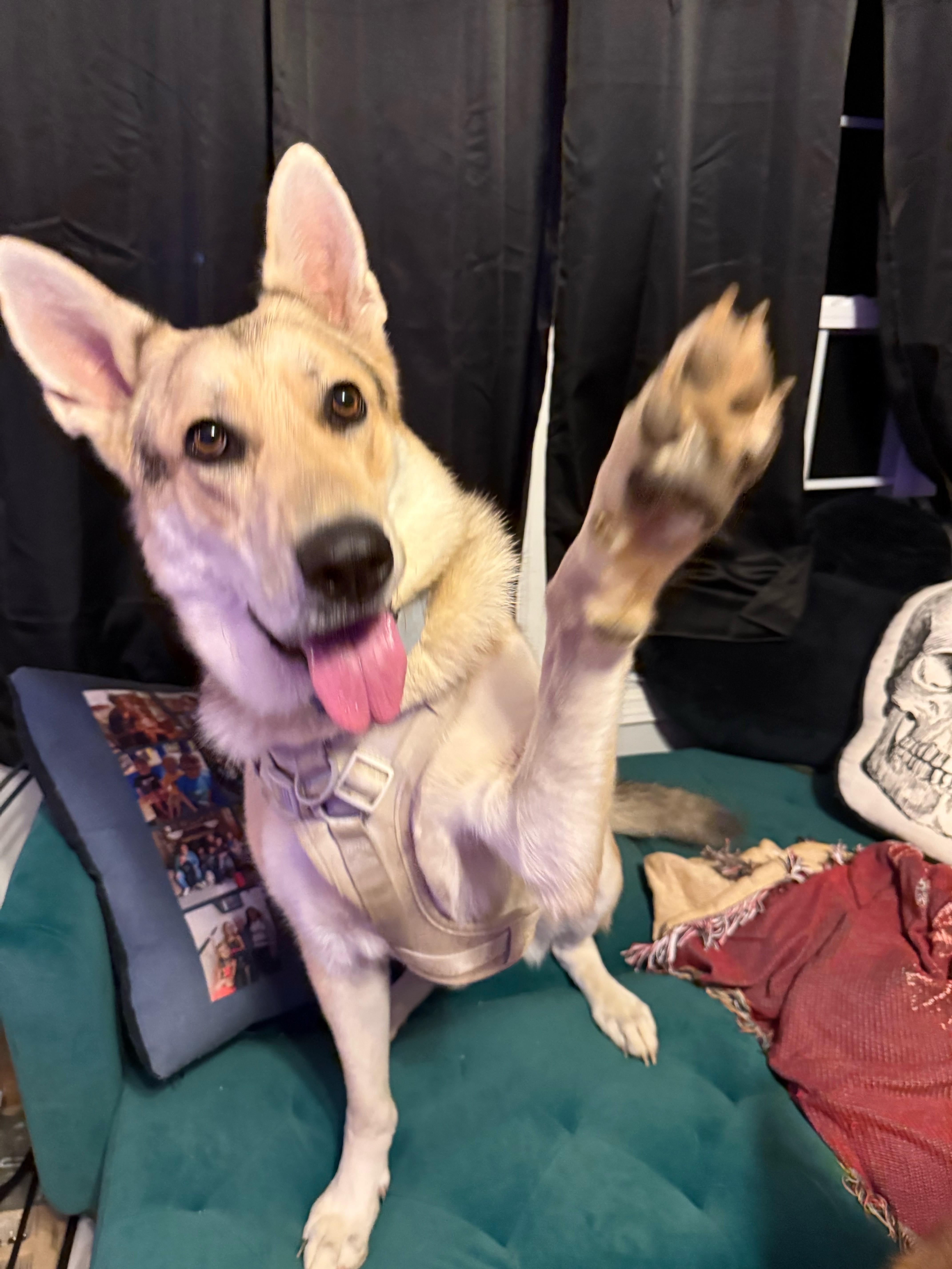 Cosmo Courage thumbnail 5