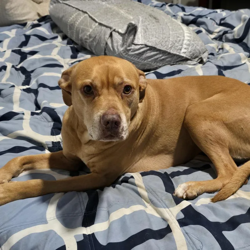 Daisy Mae thumbnail 2