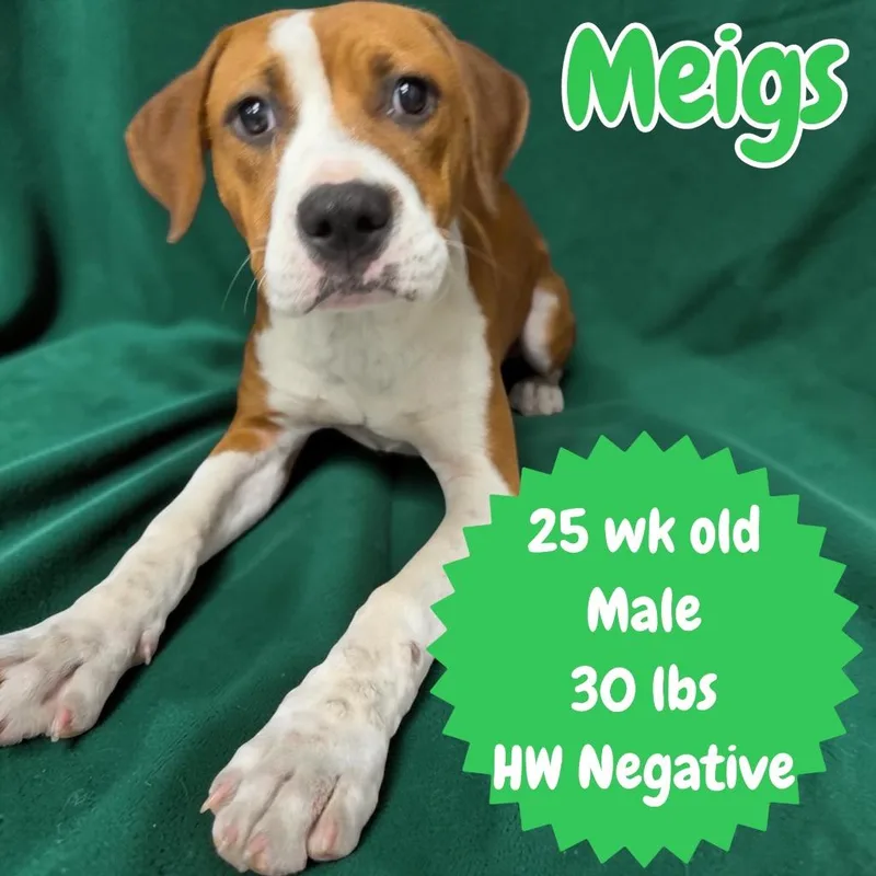 Meigs