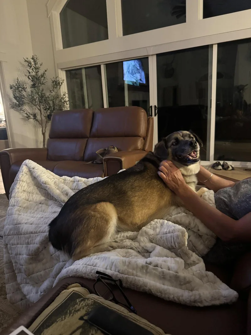Dixie Lou thumbnail 3