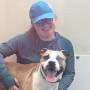 A young large-sized male Yellow / Tan / Blond / Fawn Pit Bull Terrier dog named Aj for adoption in Ithaca, NY