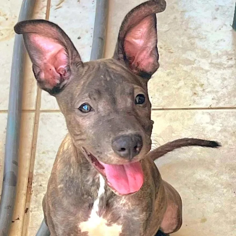 Kira Star "definitely You