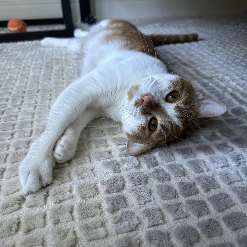 Grainger thumbnail 2