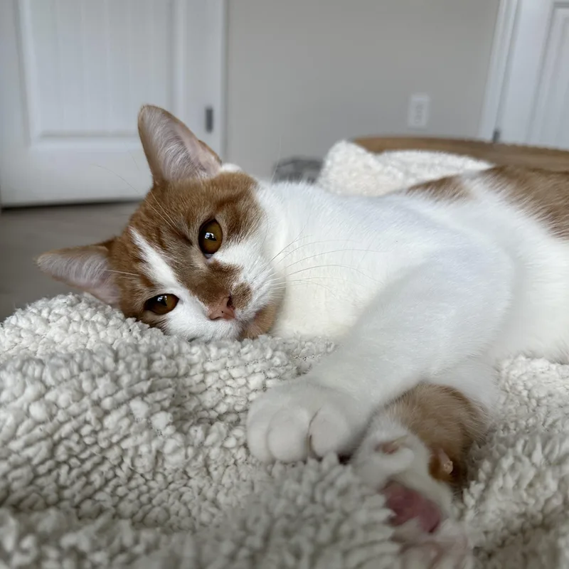 Grainger thumbnail 3