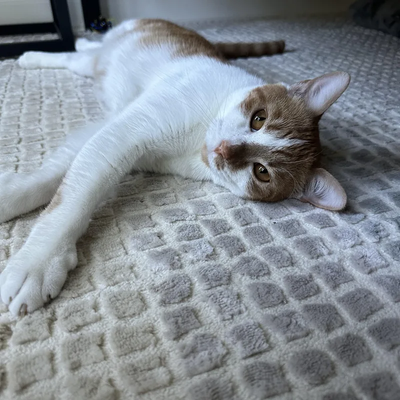 Grainger thumbnail 4