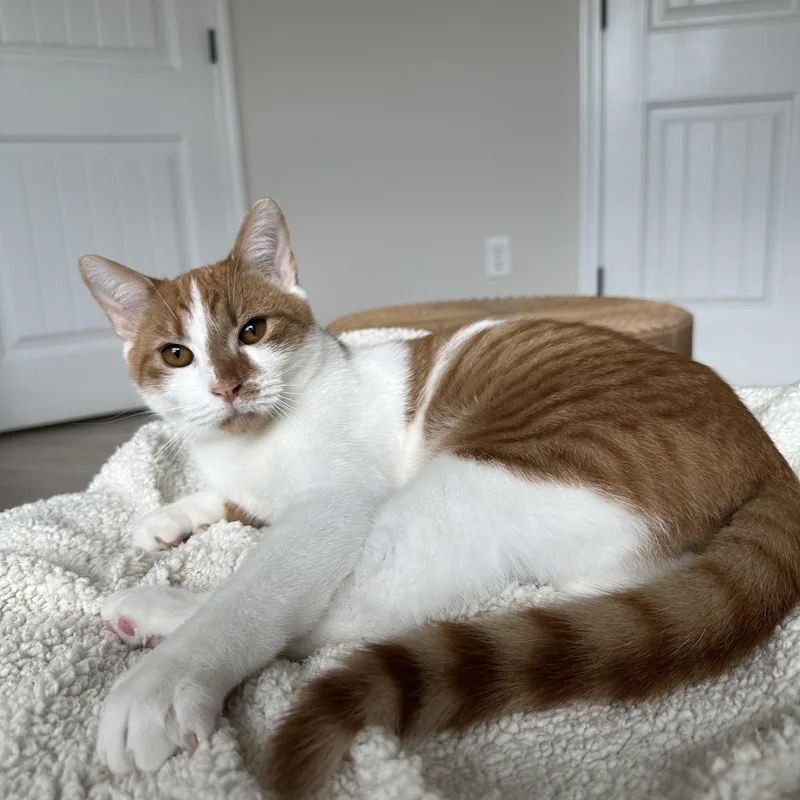 Grainger thumbnail 5