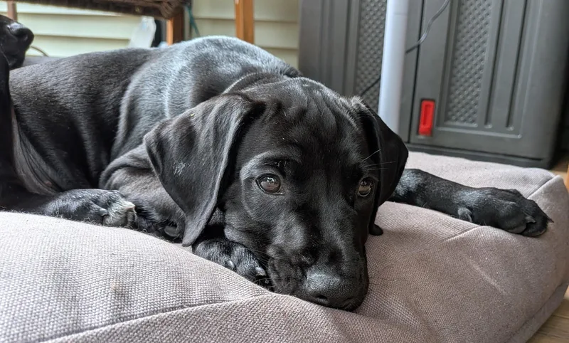 Marco