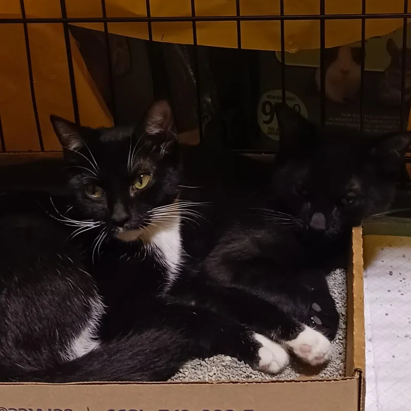 Yuki & Yuma B thumbnail 2