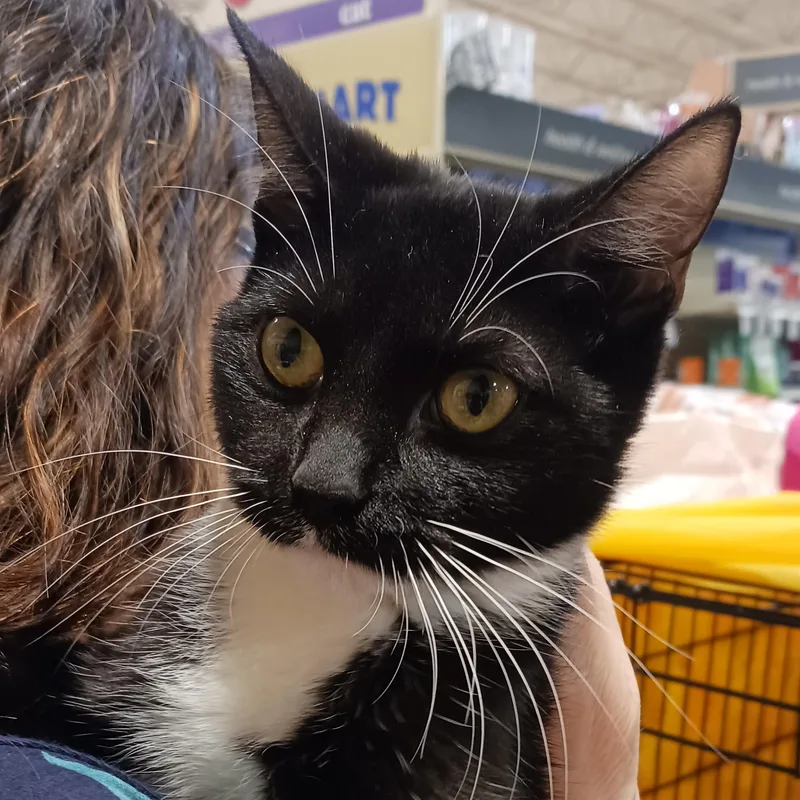 Yuki & Yuma B thumbnail 3