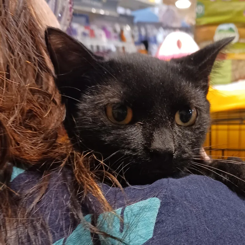 Yuki & Yuma B thumbnail 4