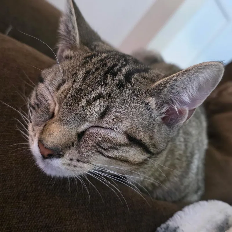 Amy thumbnail 3