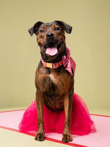 Dolly Pawton thumbnail 2