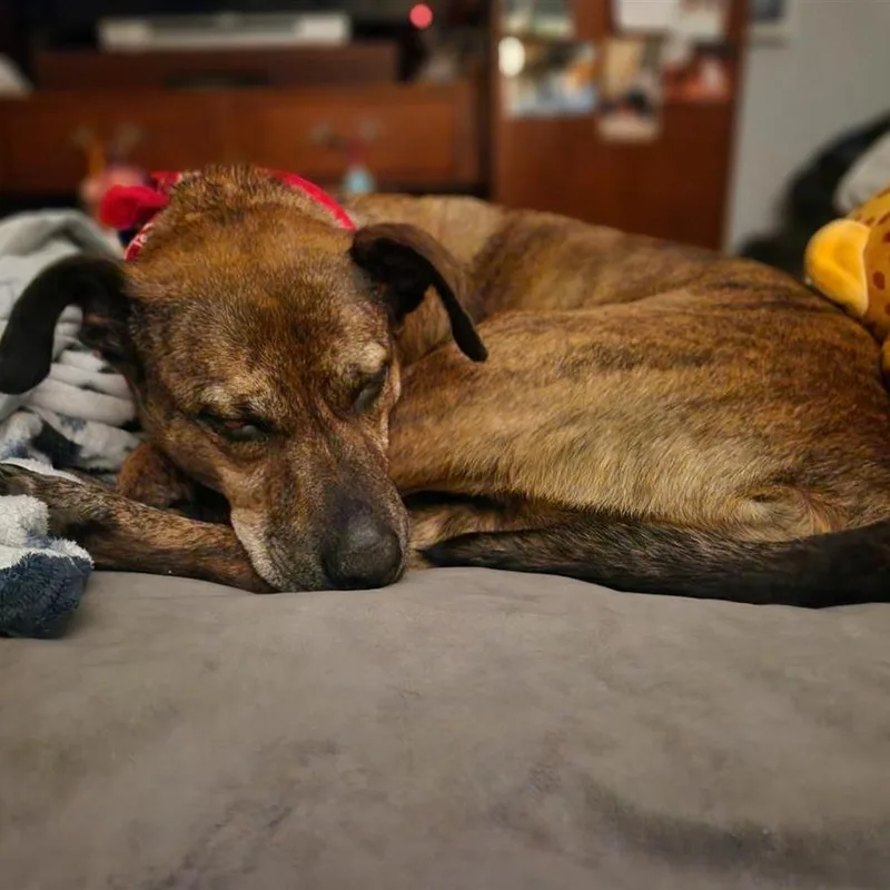 Annie Ab thumbnail 3