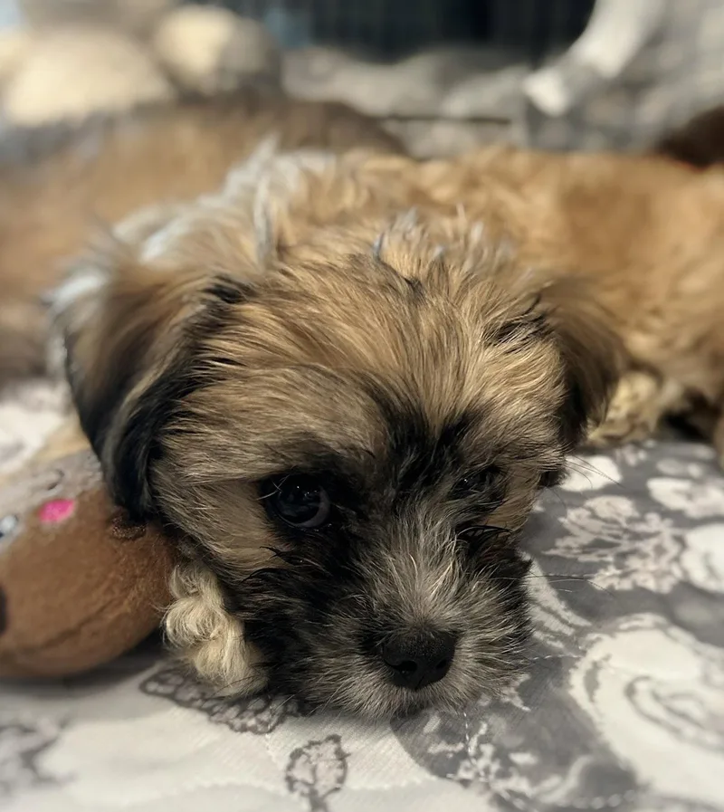 Money: Yen thumbnail 2