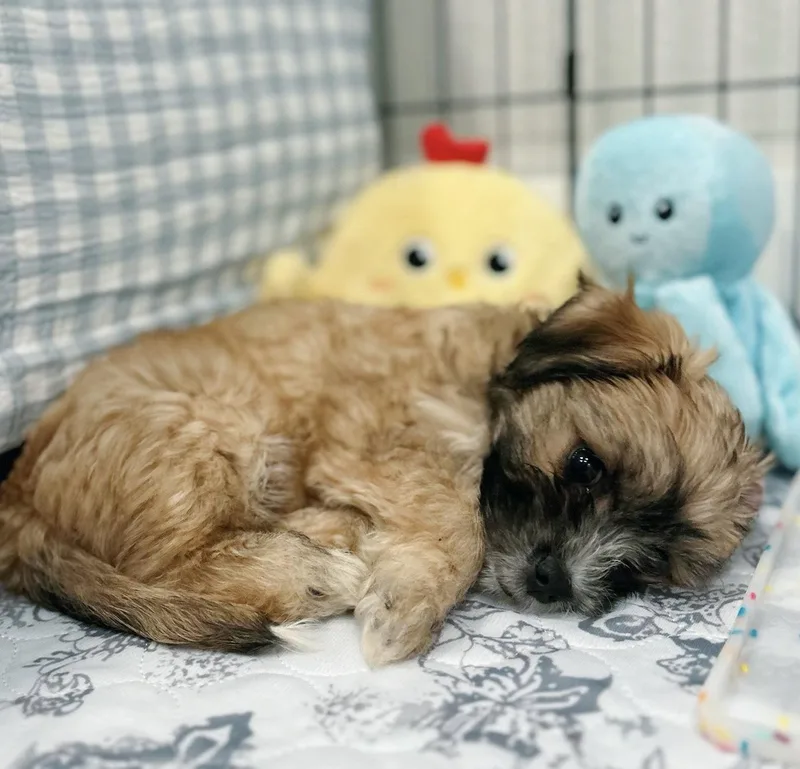 Money: Yen thumbnail 3