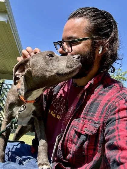 A young large-sized male Gray / Blue / Silver Mixed Breed dog named Extended Warranty for adoption in Wichita, KS