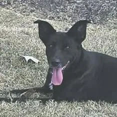 Radar Jj thumbnail 2