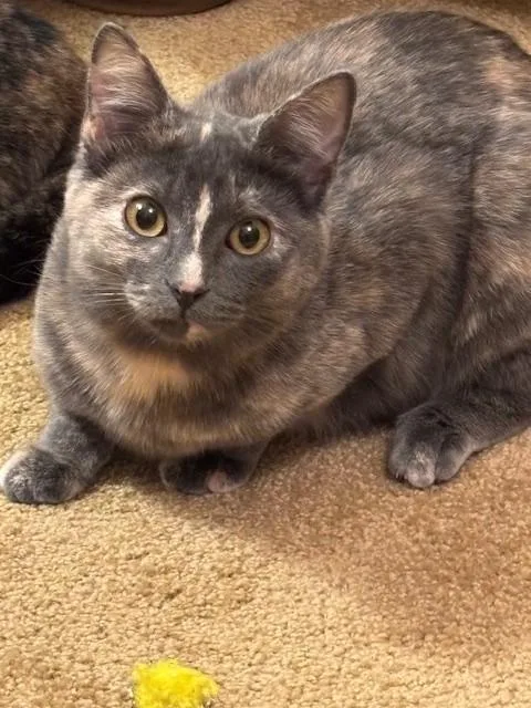 Tabitha & Samantha thumbnail 2