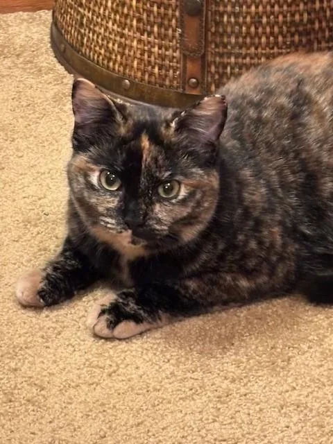 Tabitha & Samantha thumbnail 5