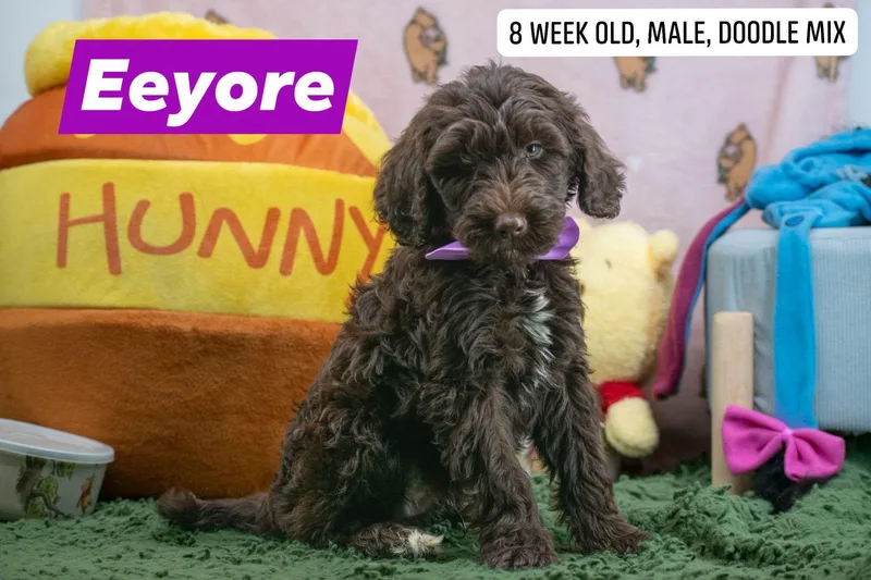 Eeyore thumbnail 2