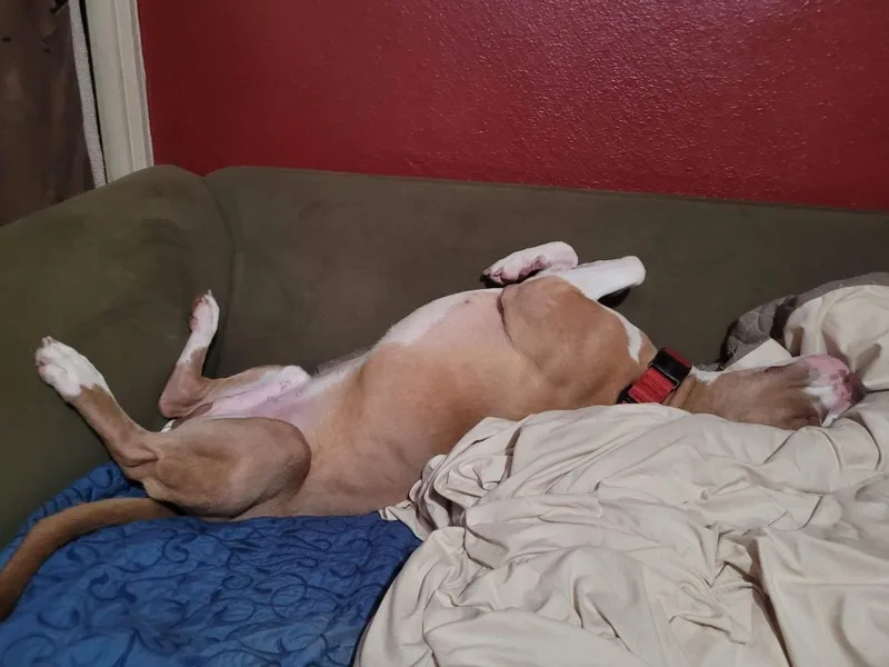 Georgie!! thumbnail 2