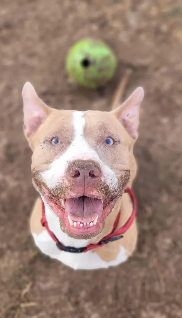 Georgie!! thumbnail 3